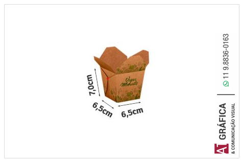Delivery Papel Kraft   250g 48x33 4x0 100 Un